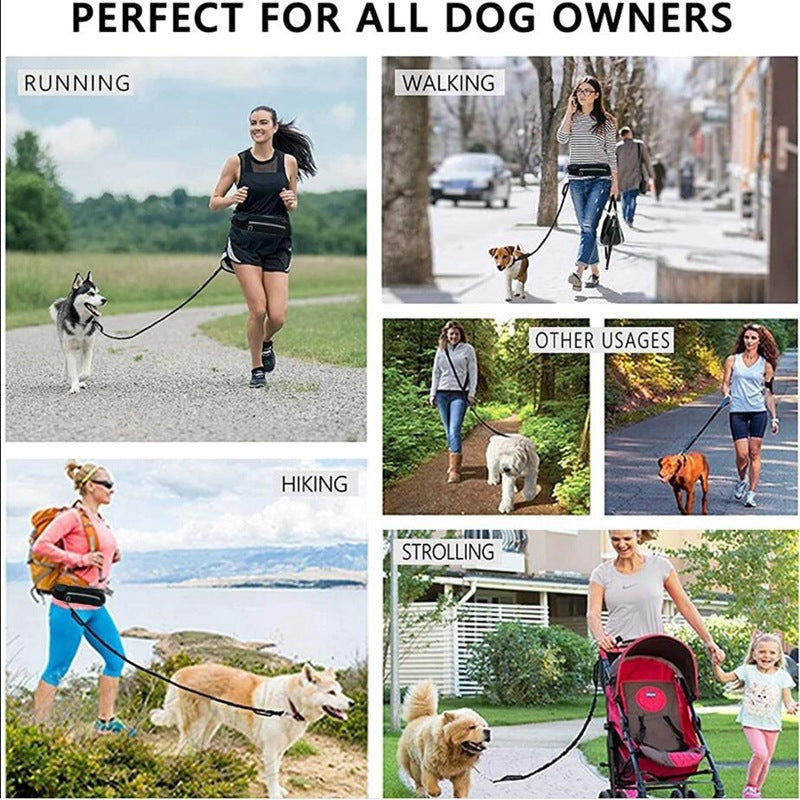 Hands Free Dog Leash Pet Walking and Training Belt with Shock Absorbing - Lucky 22 Products 