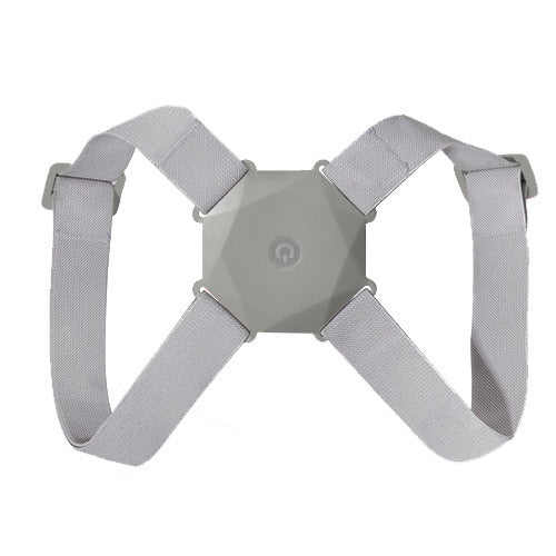 Induction vibration posture corrector - Lucky 22 Products 