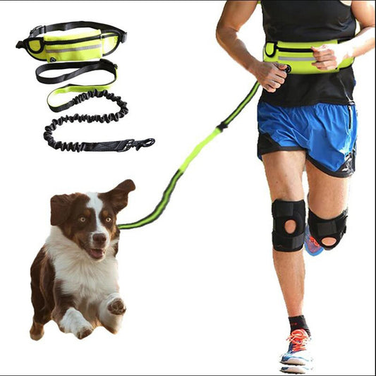 Hands Free Dog Leash Pet Walking and Training Belt with Shock Absorbing - Lucky 22 Products 