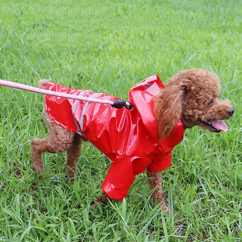 Dog Raincoat Reflective Waterproof Snowproof Pet Coat for Small Puppy Cats Raincoat Chihuahua Bulldog Pets Cape Poncho Costume - Lucky 22 Products 